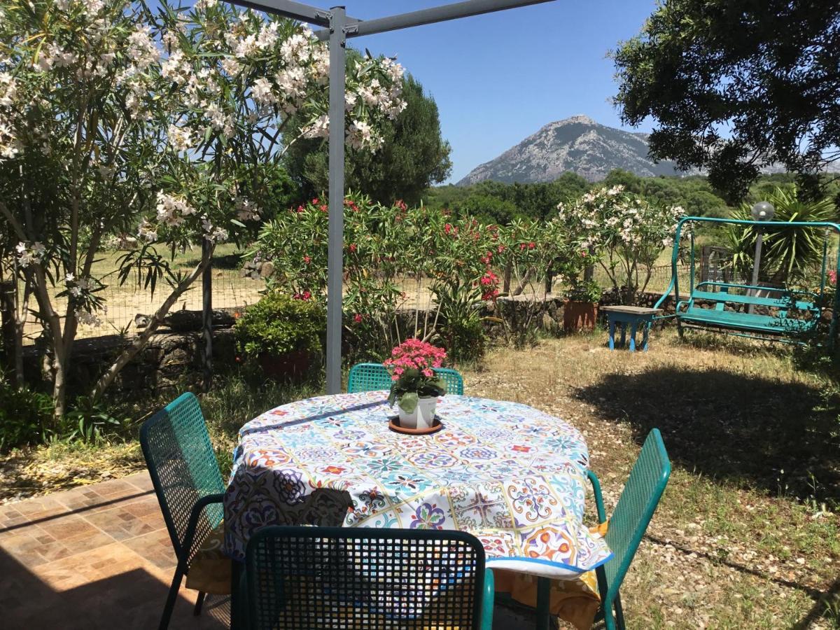 Su Saucu Villa Dorgali Luaran gambar