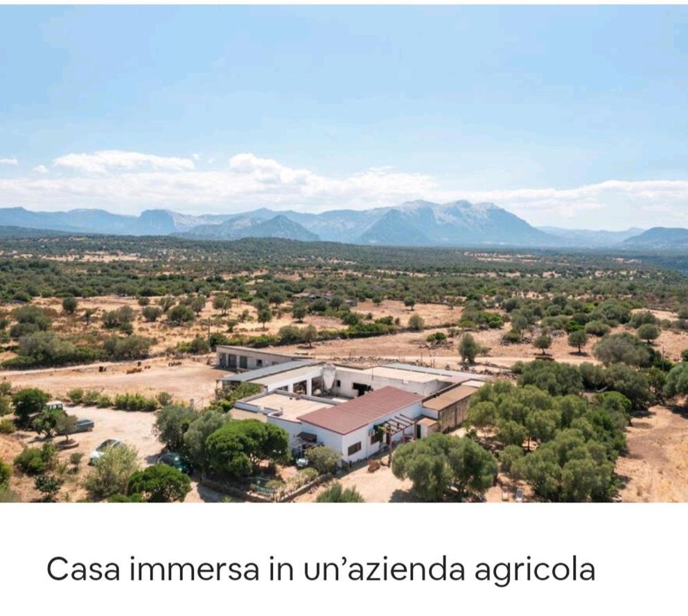 Su Saucu Villa Dorgali Luaran gambar
