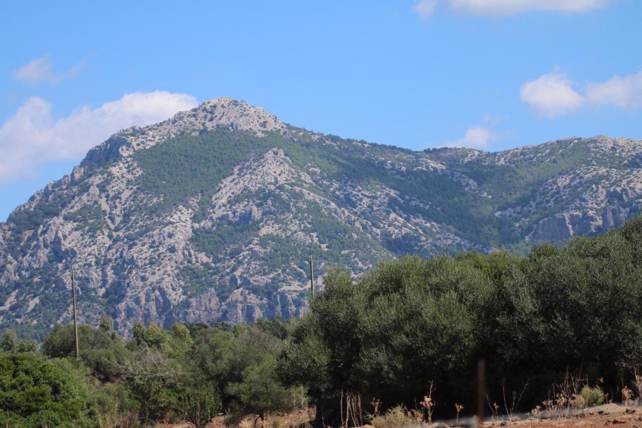 Su Saucu Villa Dorgali Luaran gambar