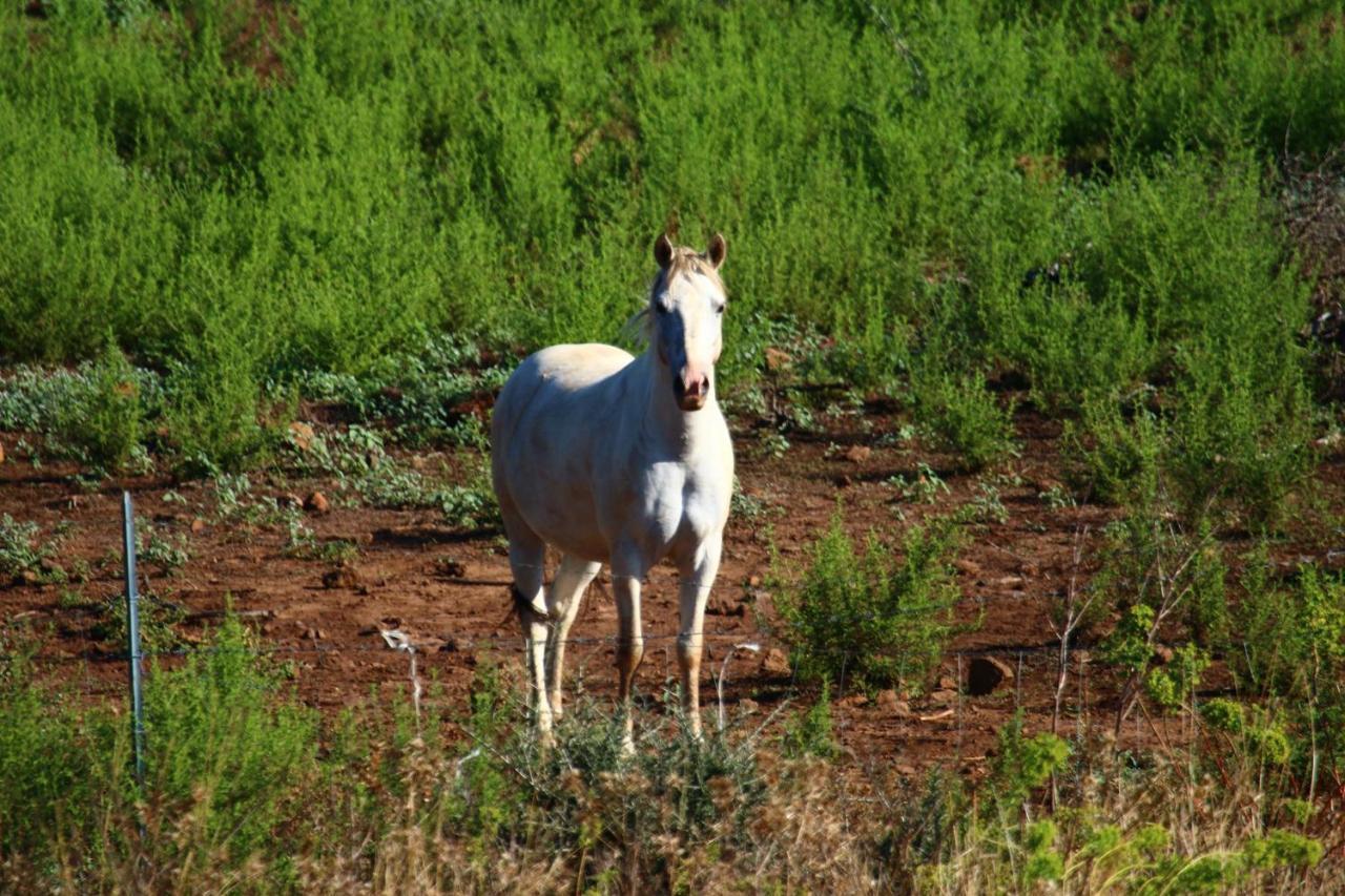 Su Saucu Villa Dorgali Luaran gambar